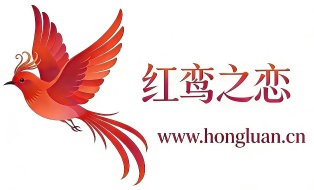 红鸾信息技术咨询工作室